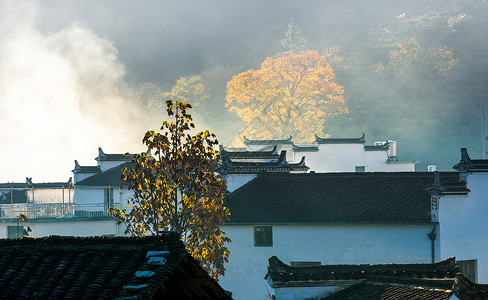 周庄古镇风景图片