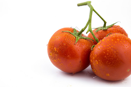 白底番茄背景图片