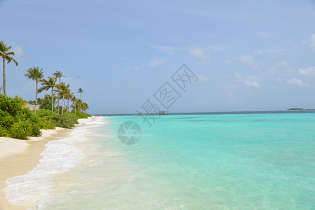 马尔代夫芙拉瓦丽度假岛高清图片