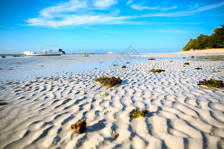 海边沙退潮的沙滩背景