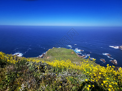 美国海岸线一号公路沿海自驾背景