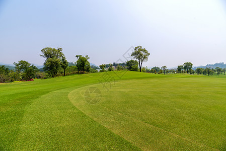绿色课程高尔夫草坪背景