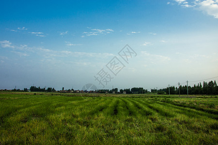农田背景图片