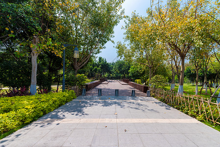 市政开发公园绿化背景