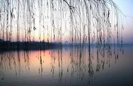 西湖背景图片