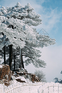 雪后黄山图片