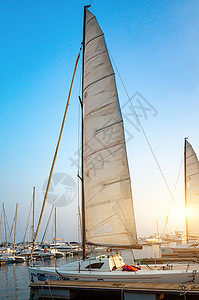 青岛奥帆中心的帆船背景图片