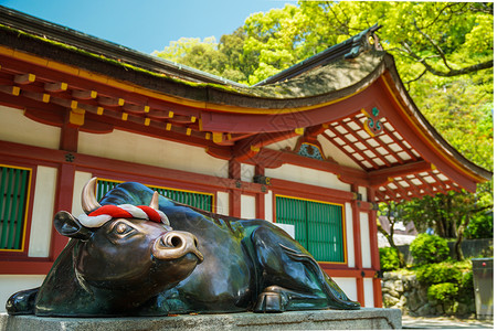 周边一日游日本福冈周边太宰府天满宫背景