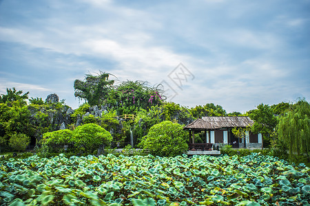 惠州丰渚园背景图片