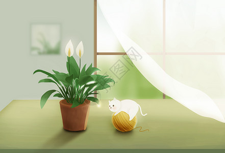室内白色窗帘夏日午后的猫插画