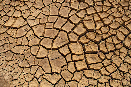 沙漠干涸干涸的河床背景