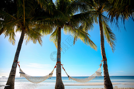 椰树海边吊床背景图片