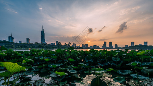 从玄武湖看南京城高清图片