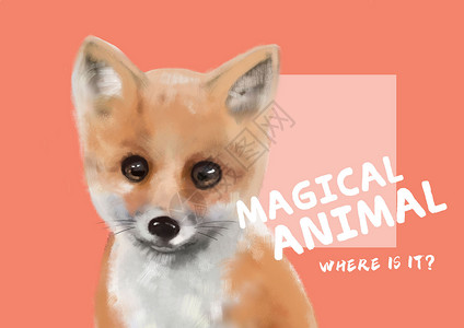 神奇动物——狐狸高清图片