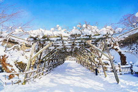 日本北海道五棱郭篱笆栈道背景