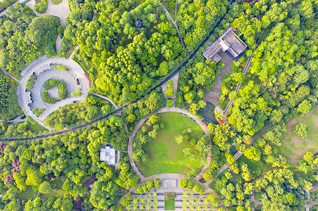 俯视装修俯瞰城市森林公园绿化背景