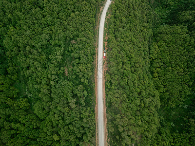 公路俯视图原始森林背景