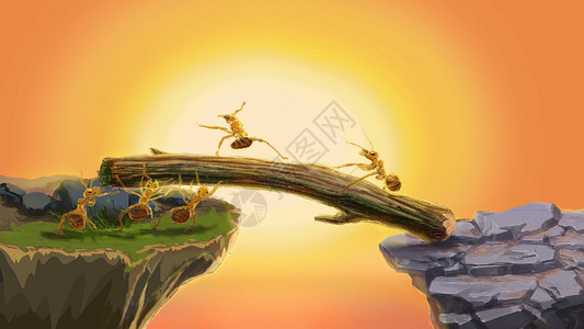 神奇动物——黄昏中的蚂蚁迁徙背景图片