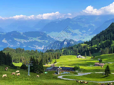 瑞士草原瑞士阿尔卑斯山脉背景