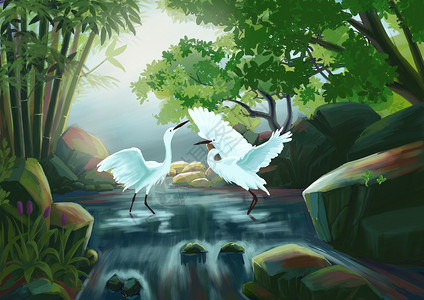 林间溪水中的白鹭背景图片