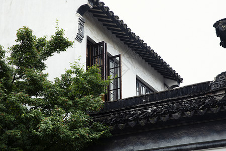 中国风金鹰中式建筑窗户背景