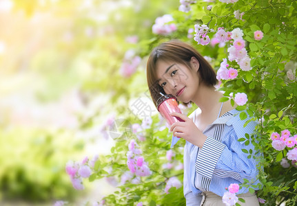 气味灌木蔷薇夏季女孩背景