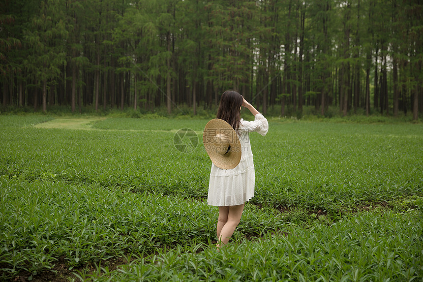 清新美女郊游背影图片