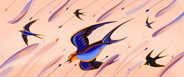 在飞行中鸟中国风雨燕自由飞插画