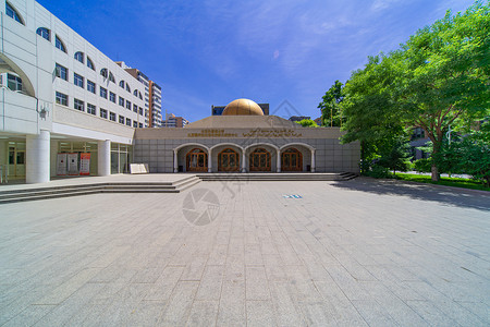 志愿树北京外国语大学图书馆背景