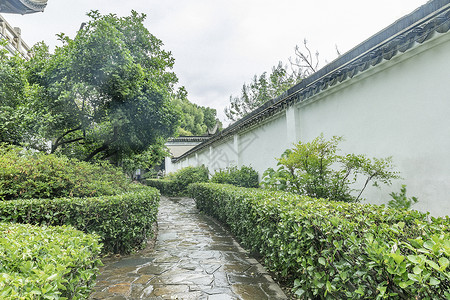 雨后小路林间小道背景