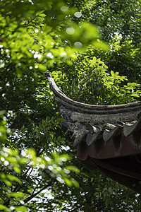 中式建筑特写背景图片
