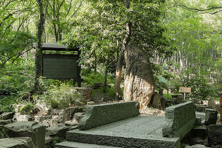 林间小道石板树凳高清图片