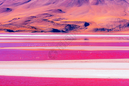 红湖风景玻利维亚盐高清图片