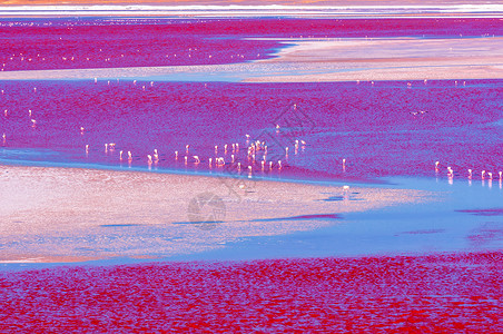 红湖风光南美洲索科罗高清图片