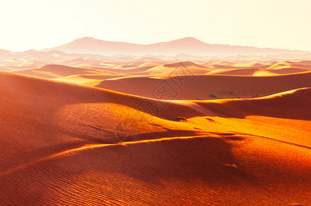 在撒哈拉撒哈拉的沙丘背景