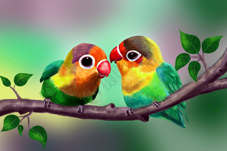 两只鹦鹉神奇的动物之萌宠相亲相爱的鹦鹉插画