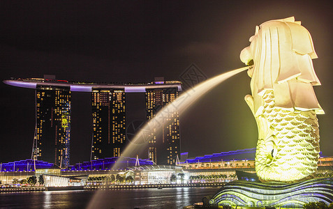 新加坡地标鱼尾狮夜景背景图片