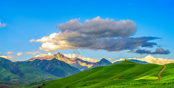 美丽草原的夏季风景图片