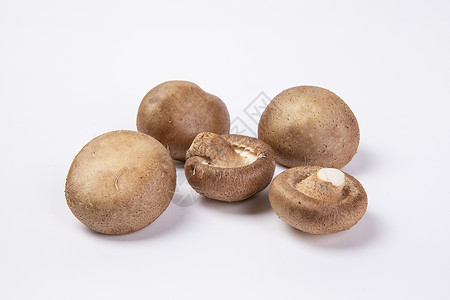 蘑菇香菇背景图片