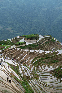 拨开云雾见月明桂林龙脊平安寨梯田背景