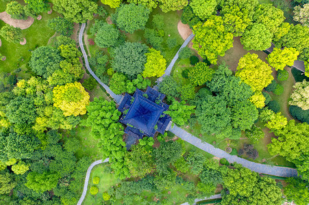 圆形植物俯视图航拍城市公园绿化背景