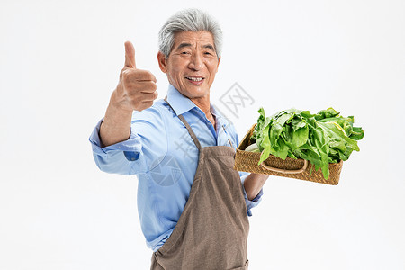 菜农点赞中国菠菜高清图片