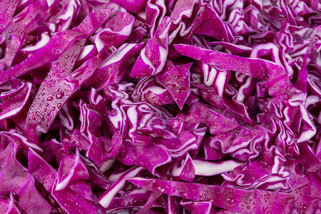 紫甘蓝食物包心菜高清图片