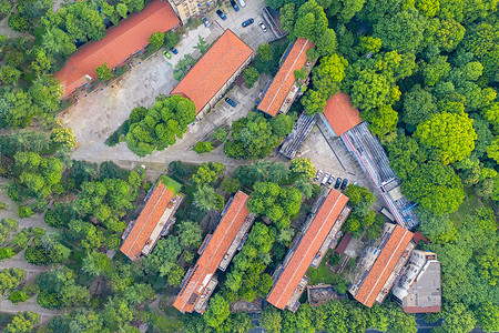 航拍绿荫环绕的70年代工厂住宅区高清图片