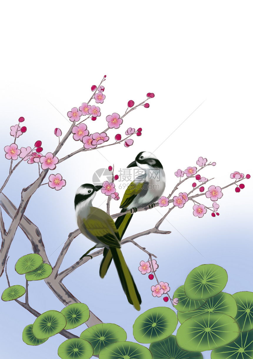 梅花松叶白头翁鸟图片