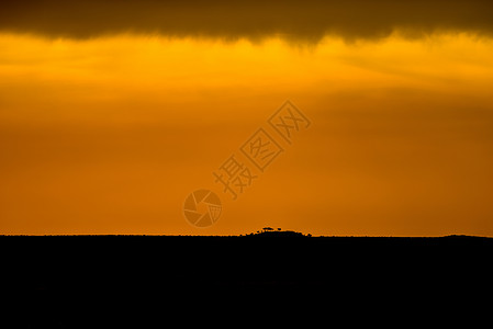 雨后的非洲草原黄昏高清图片