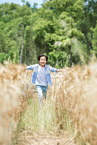 小男孩稻田奔跑图片