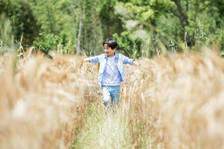 小男孩稻田奔跑背景图片