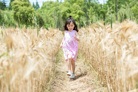 小女孩稻田奔跑高清图片