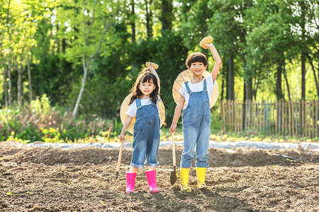 扛着锄头的女孩小朋友一起挖土豆背景
